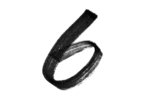 Black-and-white handwritten digit 6 with brushstroke texture