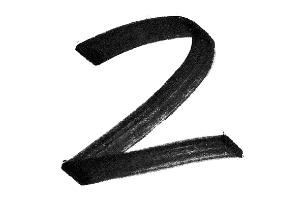 Black-and-white handwritten digit 2 with brushstroke texture
